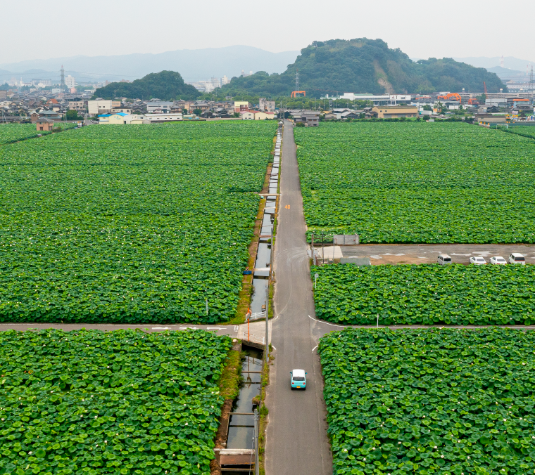 浜田農産のご紹介1
