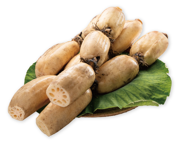 連島れんこん 1ケース